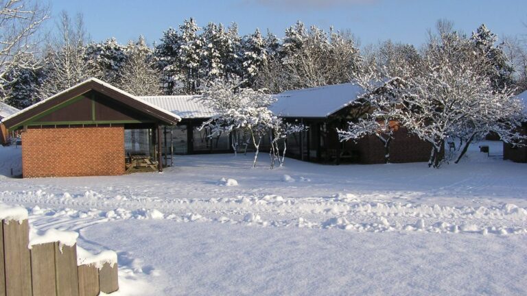 Read more about the article Se Pindstrup Centrets nye hjemmeside